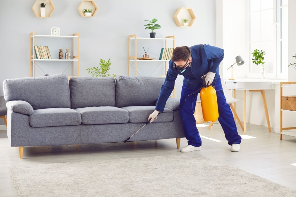 A pest control professional in a blue uniform and respirator mask spraying liquid from a yellow tank onto the floor and under a grey sofa in a brightly lit living room.