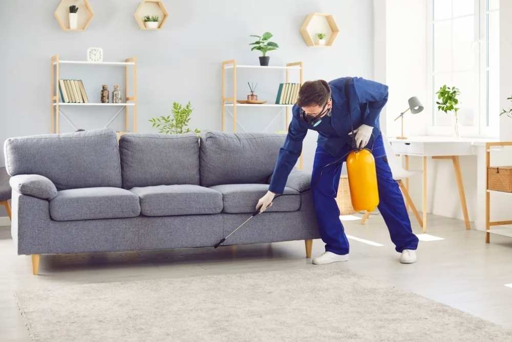 pest inspection service